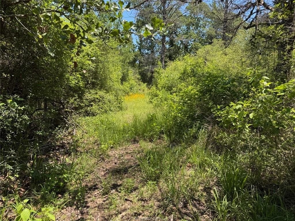 19.57 acres in Leon County - photo 36