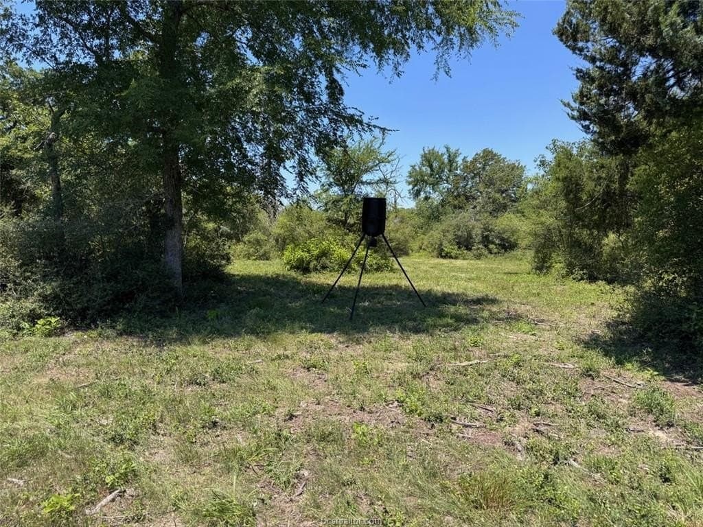 19.57 acres in Leon County - photo 28
