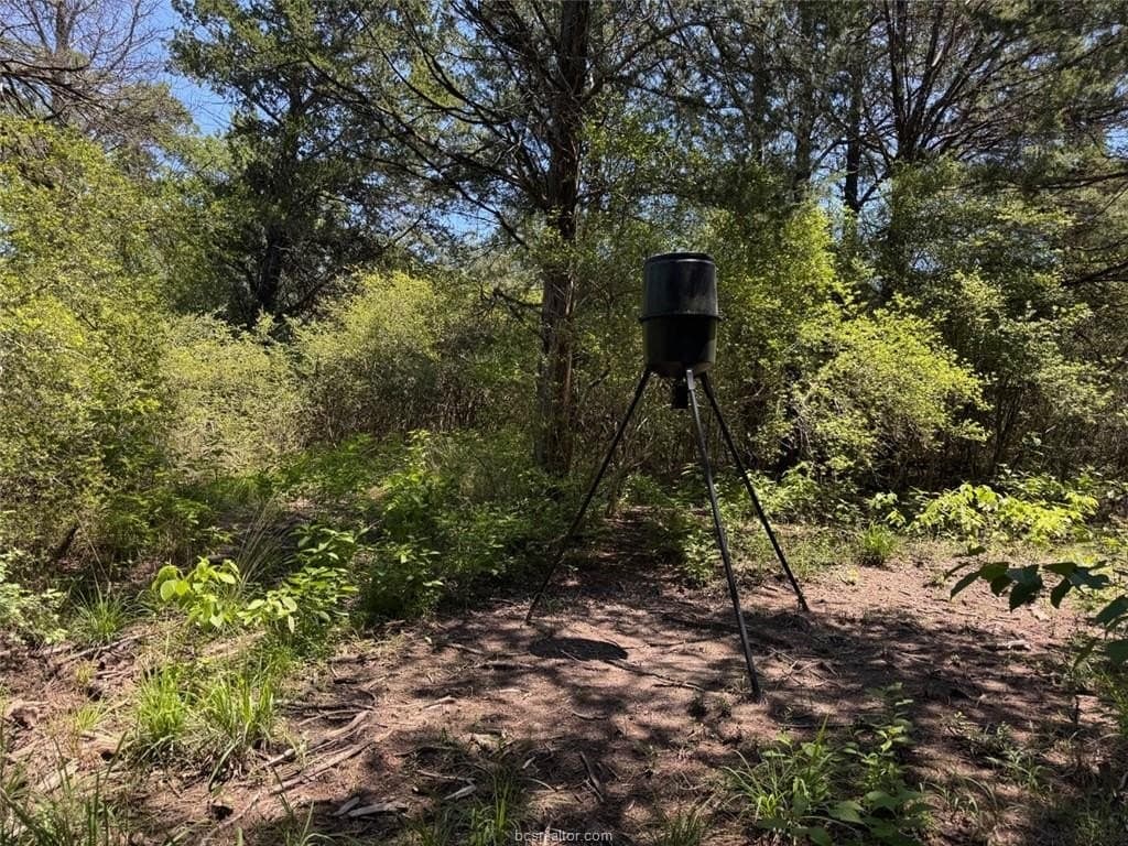 19.57 acres in Leon County - photo 29