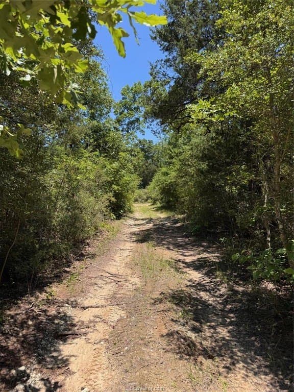 19.57 acres in Leon County - photo 24
