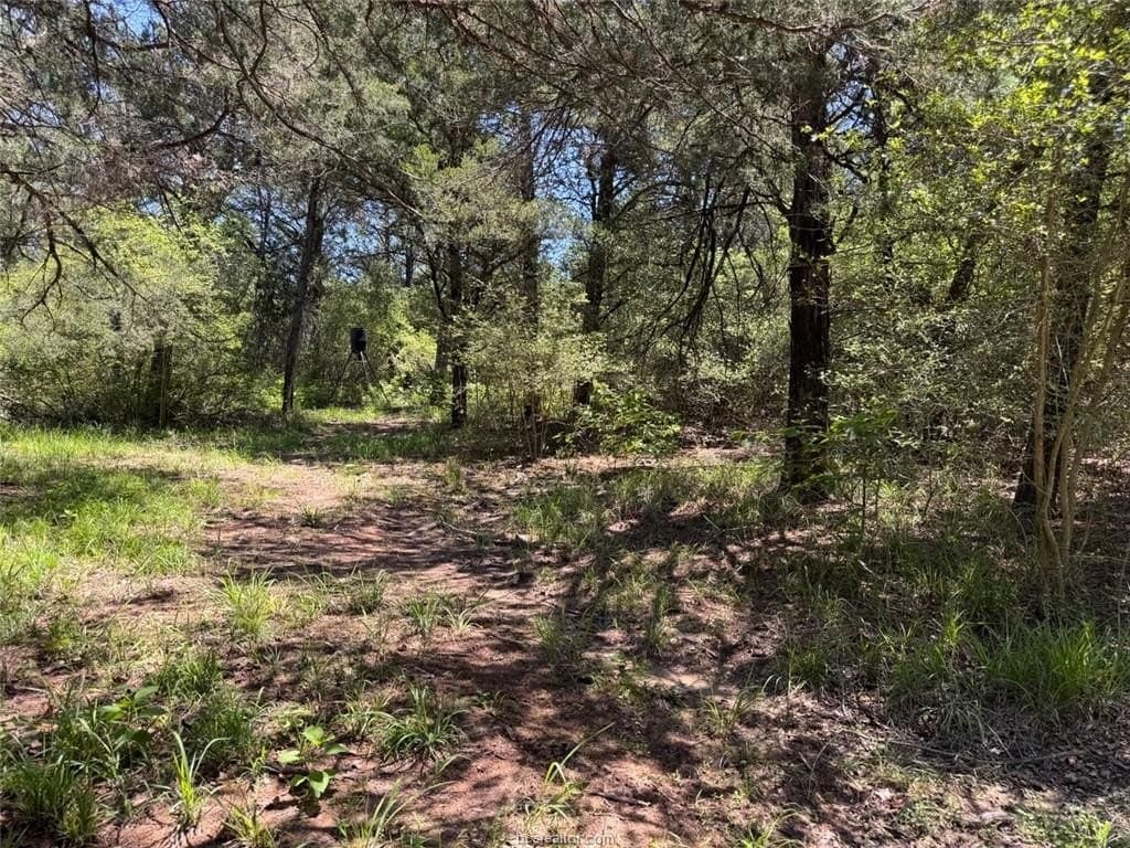 19.57 acres in Leon County - photo 35