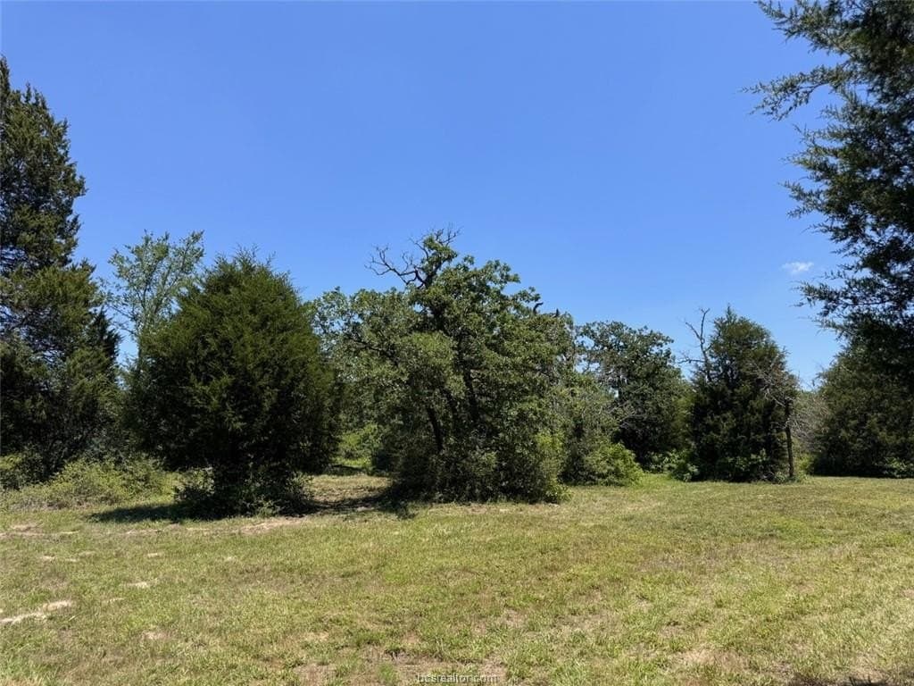 19.57 acres in Leon County - photo 5