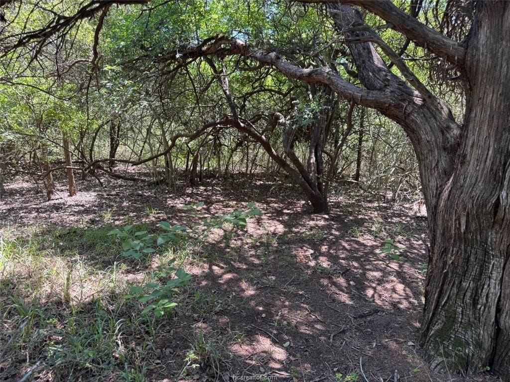 19.57 acres in Leon County - photo 27