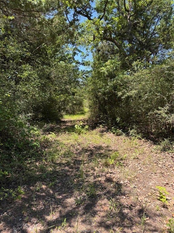 19.57 acres in Leon County - photo 23