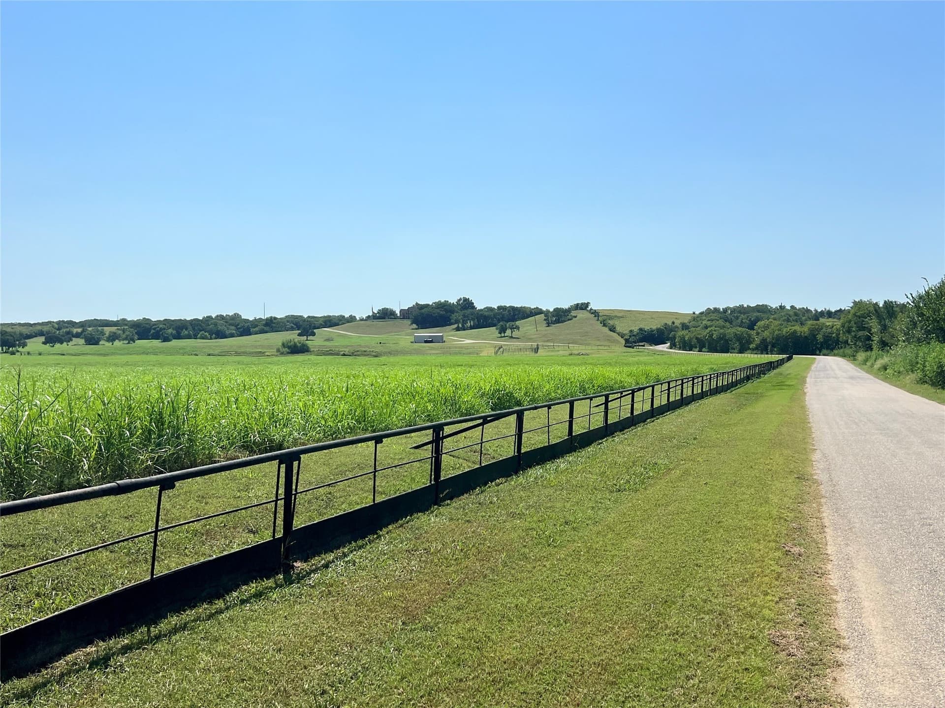 88.46 acres in Ellis County - photo 25