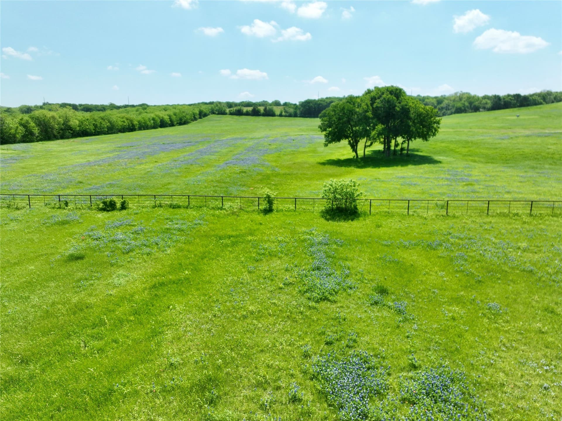 88.46 acres in Ellis County - photo 20