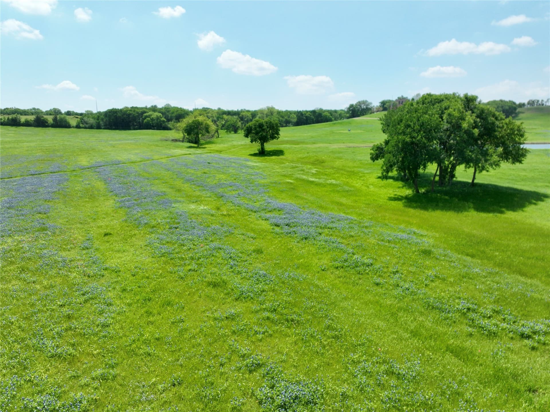 88.46 acres in Ellis County - photo 21