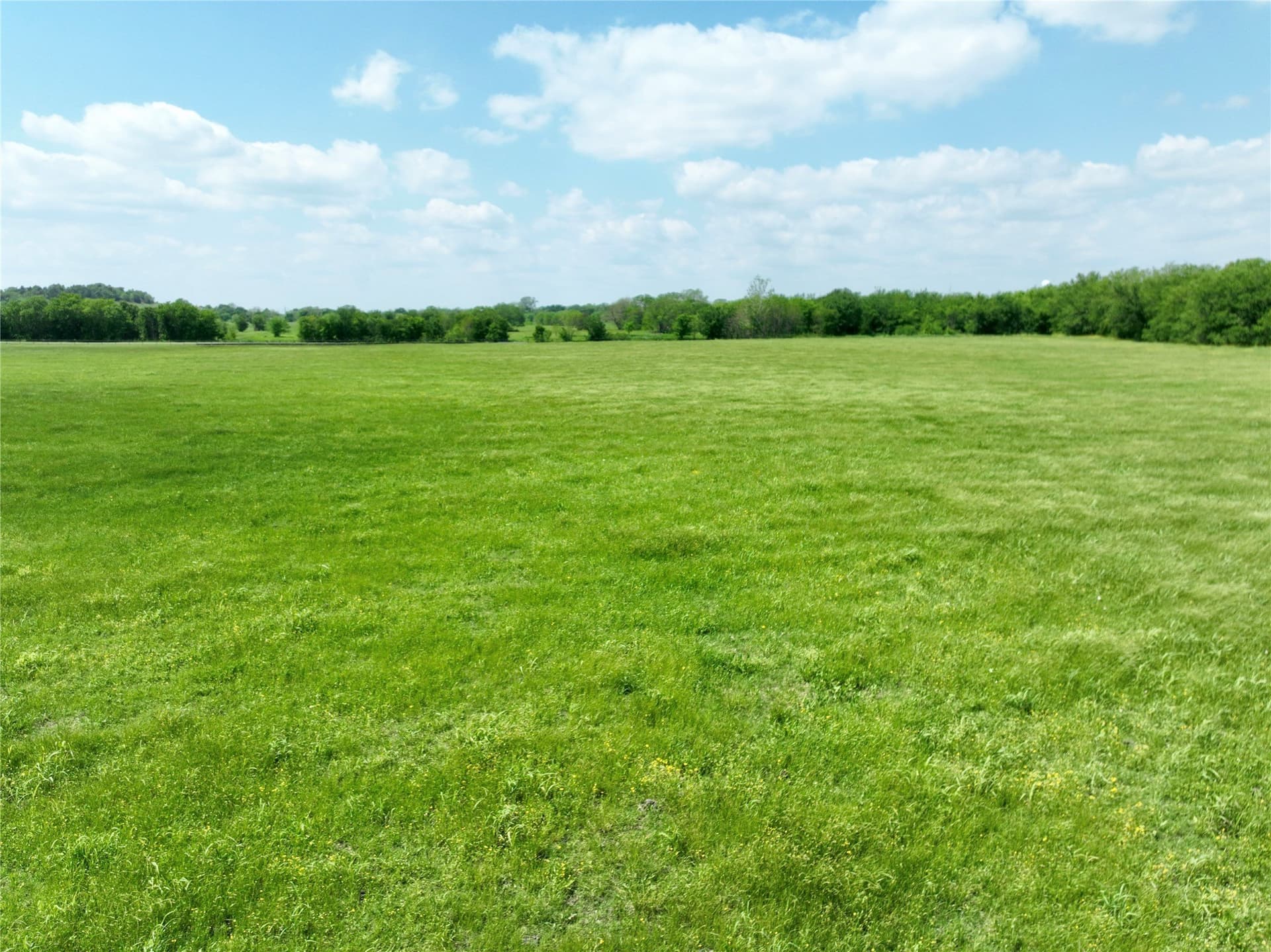 88.46 acres in Ellis County - photo 29