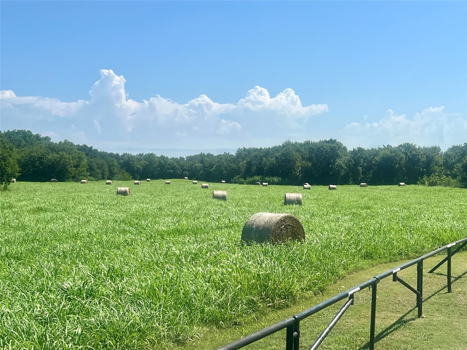 88.46 acres in Ellis County - photo 27