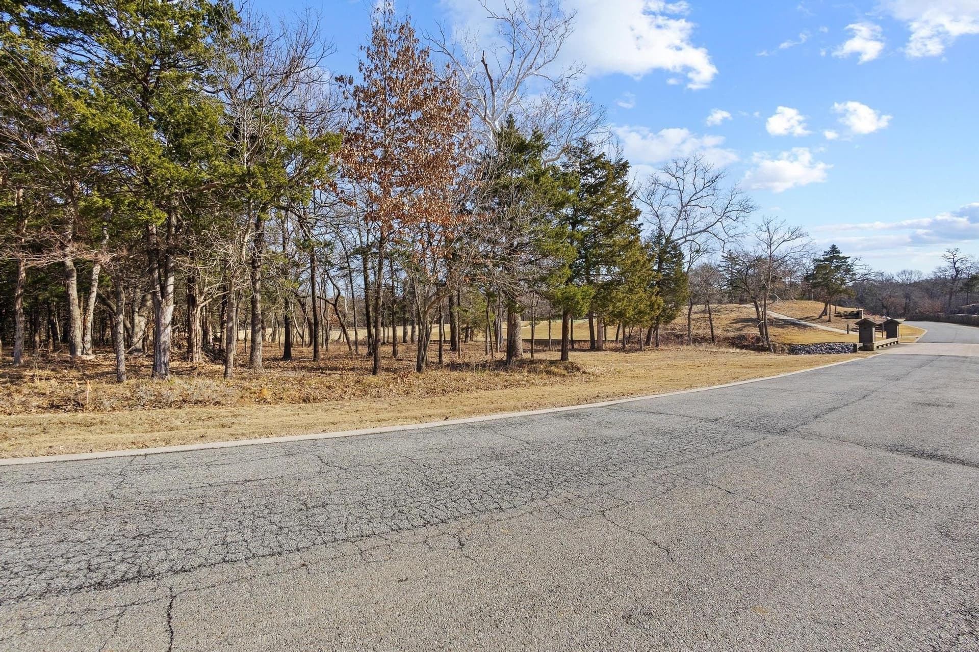 0.39 acres in Grayson County - photo 6