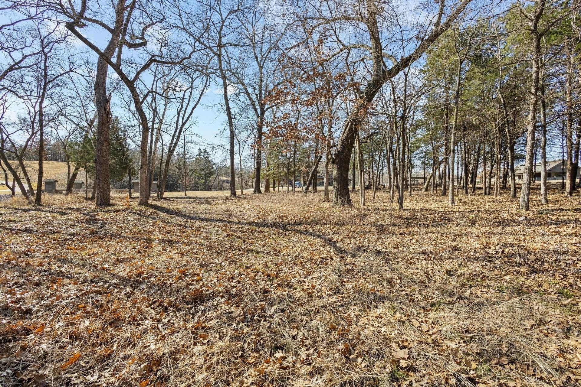 0.39 acres in Grayson County - photo 7