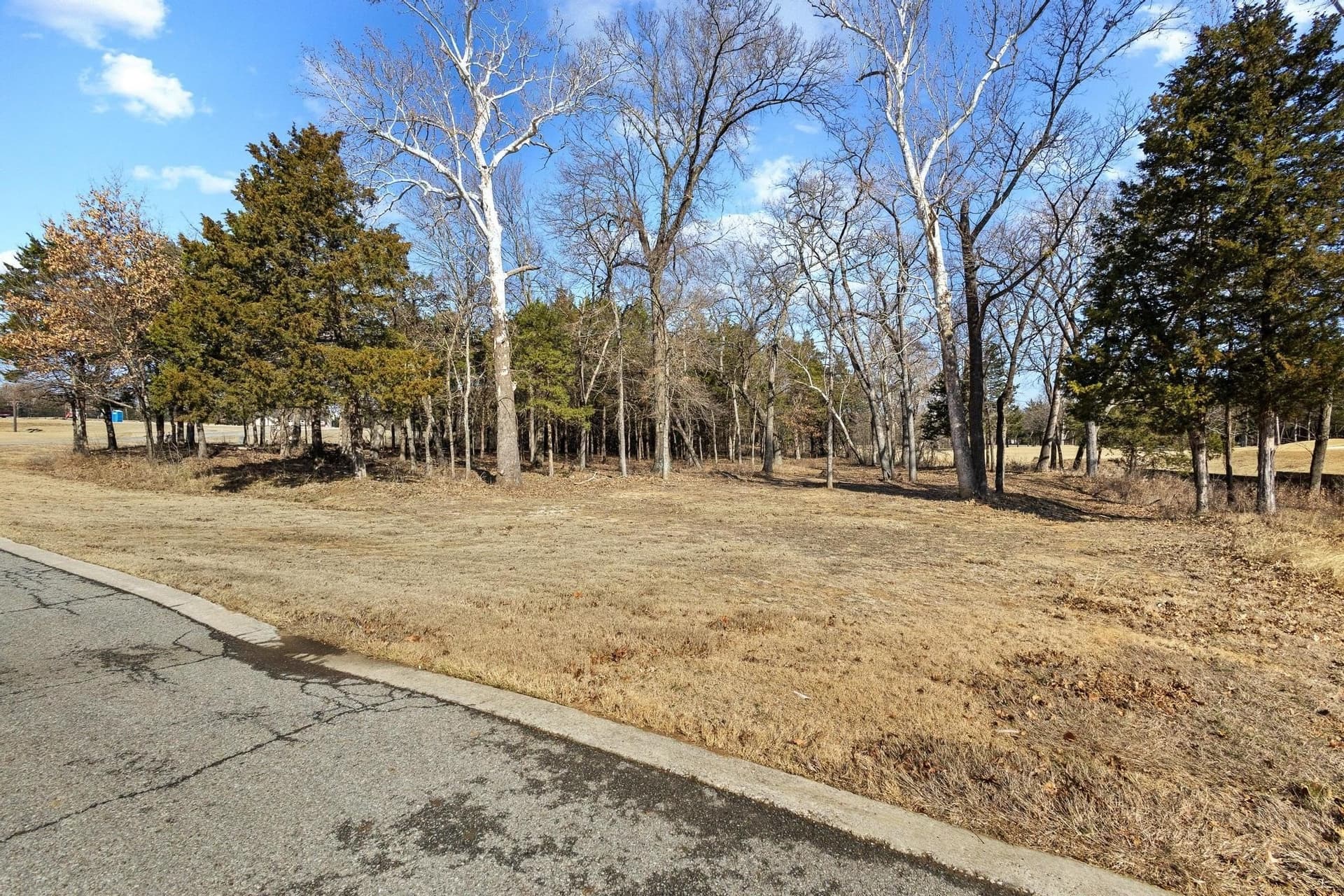 0.39 acres in Grayson County - photo 11