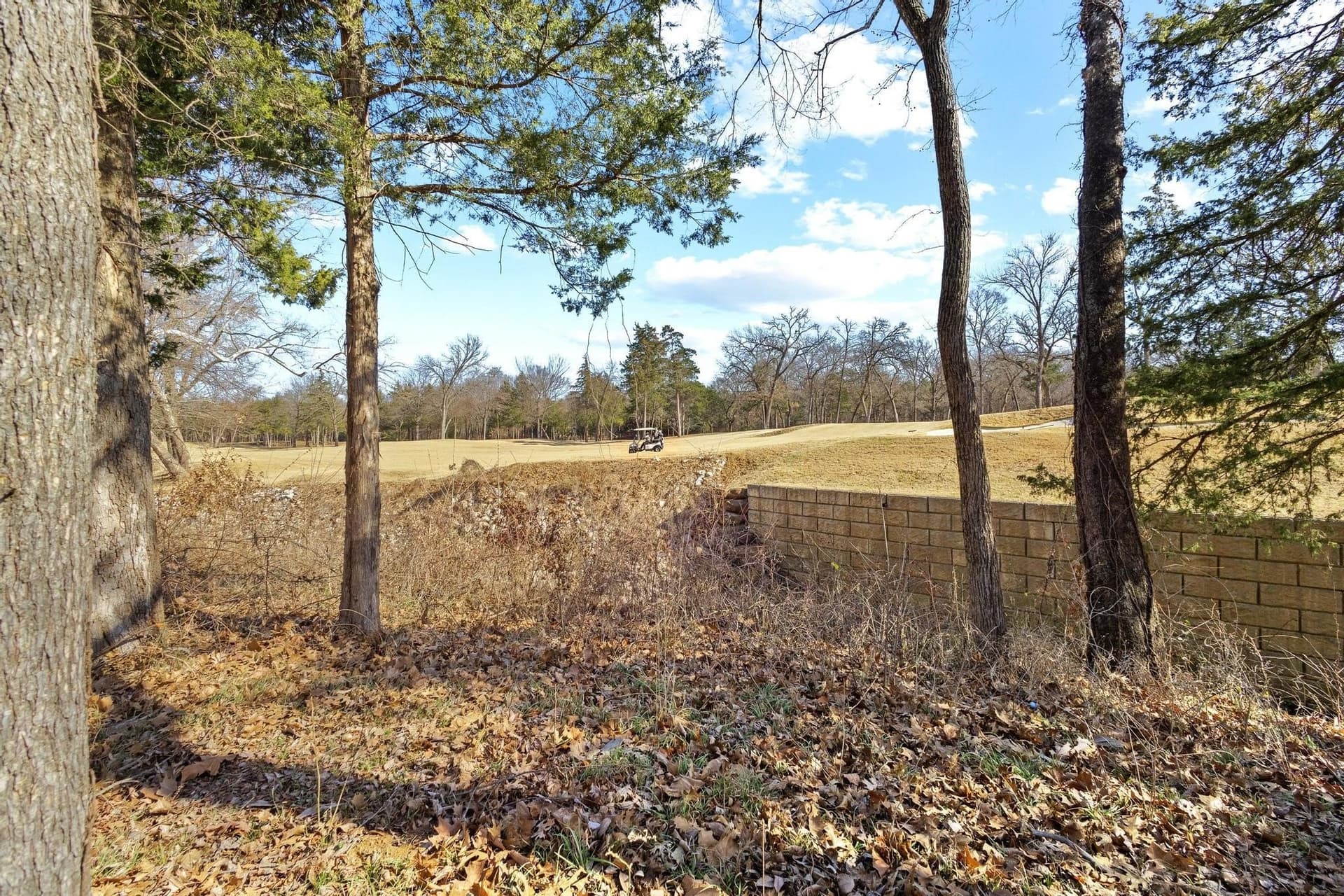0.39 acres in Grayson County - photo 10