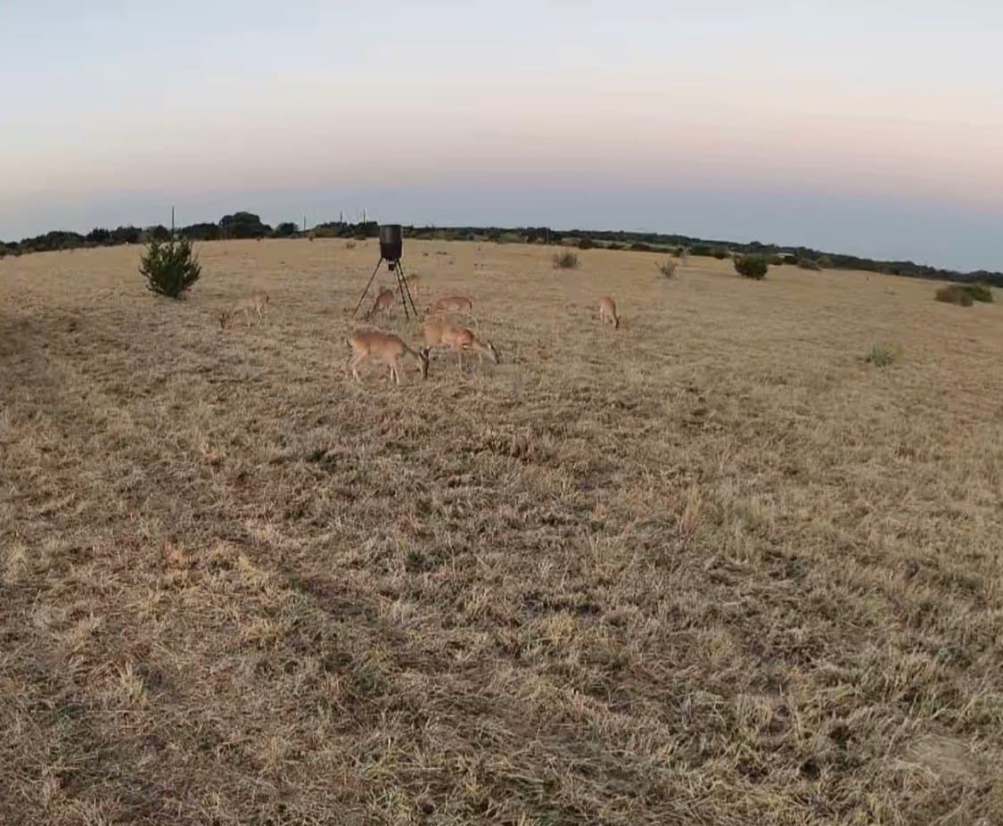 20 acres in Mills County - photo 6