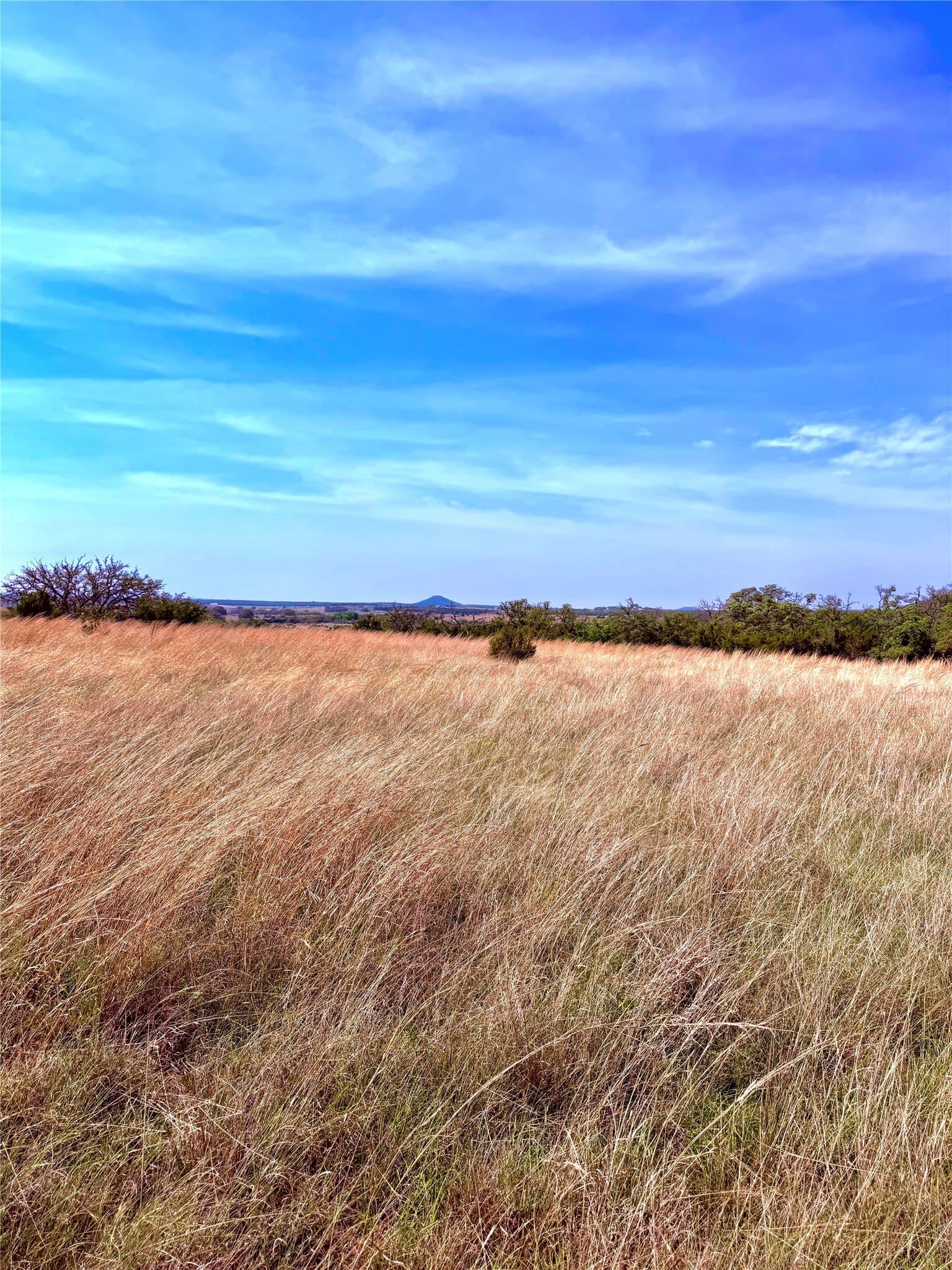 20 acres in Mills County - photo 10