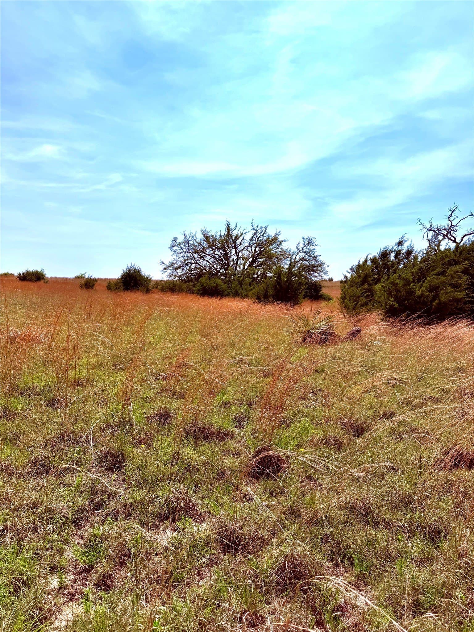 20 acres in Mills County - photo 12