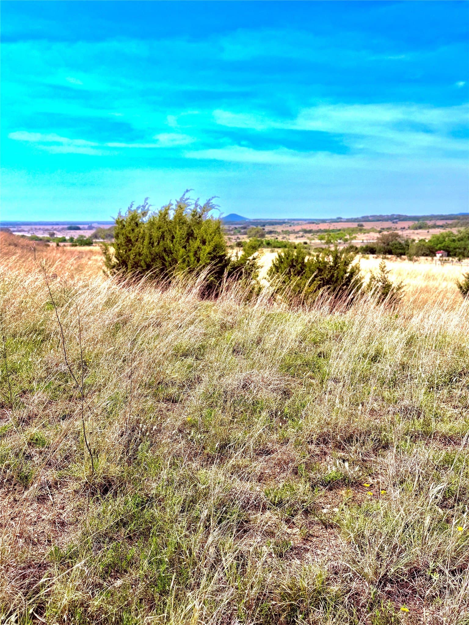 20 acres in Mills County - photo 13
