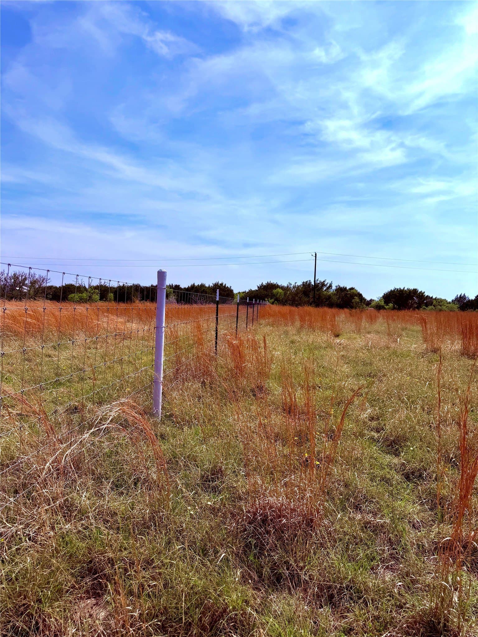 20 acres in Mills County - photo 8