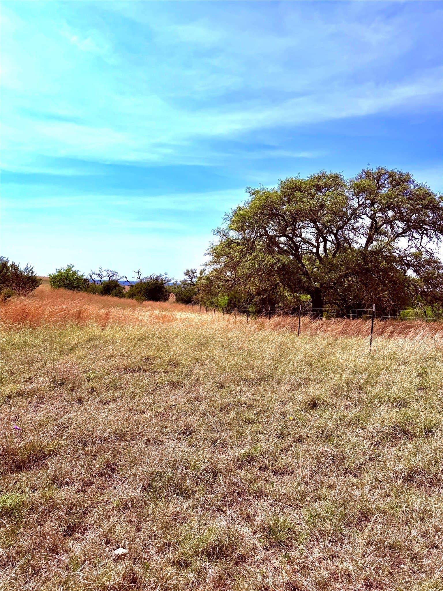 20 acres in Mills County - photo 11