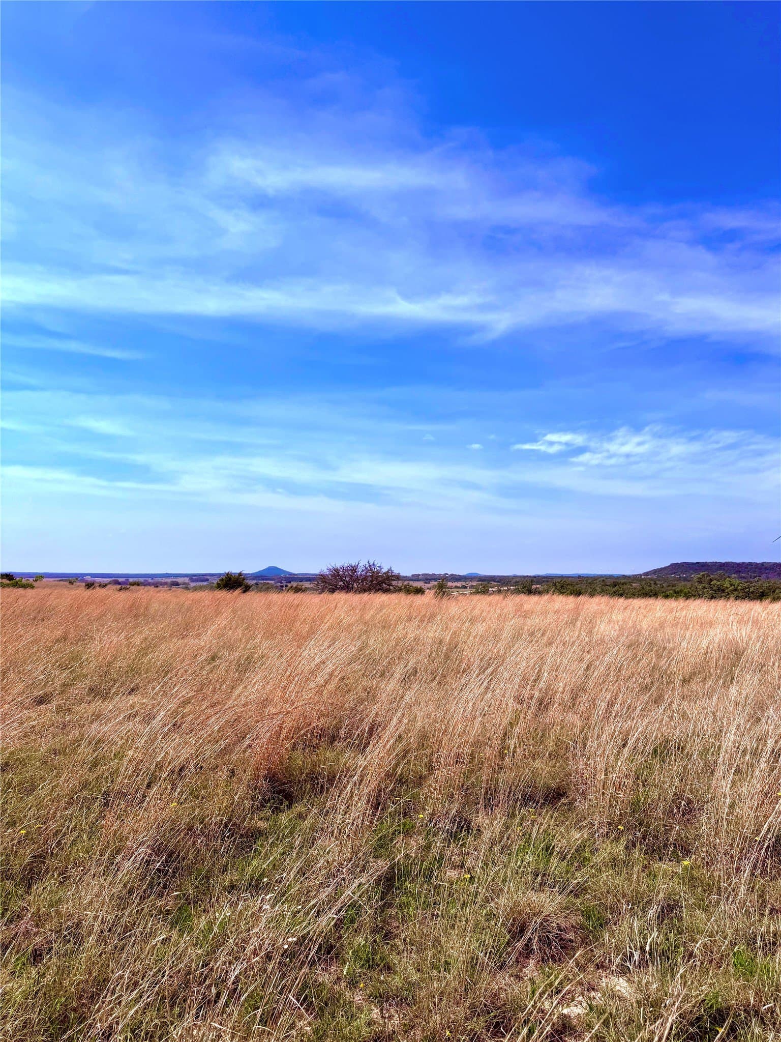 20 acres in Mills County - photo 9