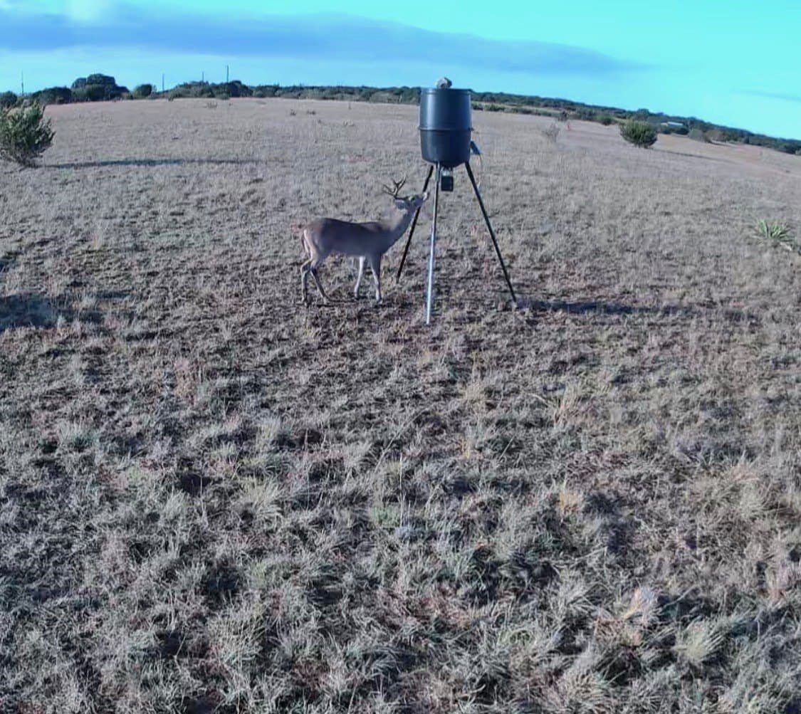20 acres in Mills County featured view