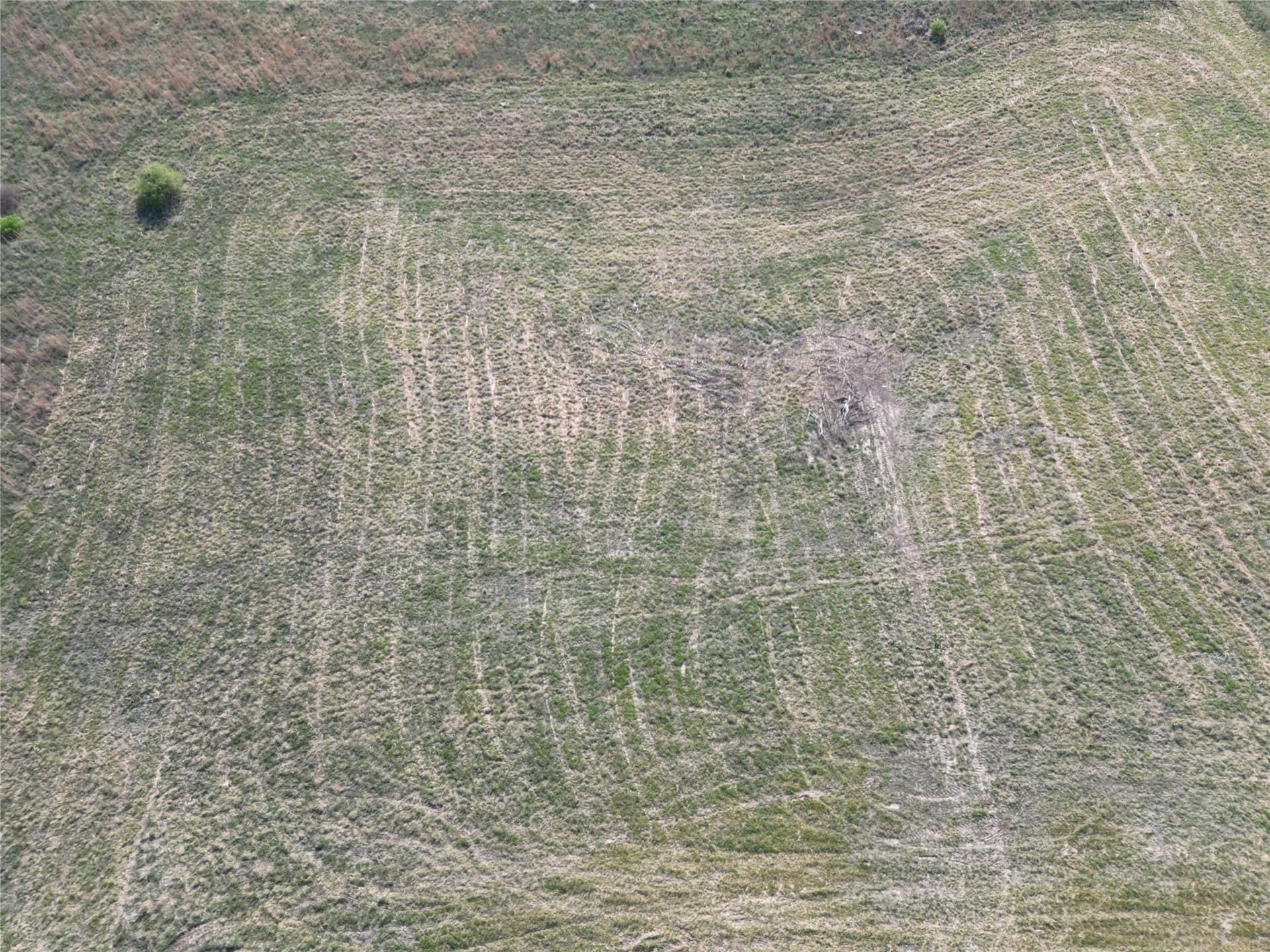 5 acres in Comanche County - photo 4