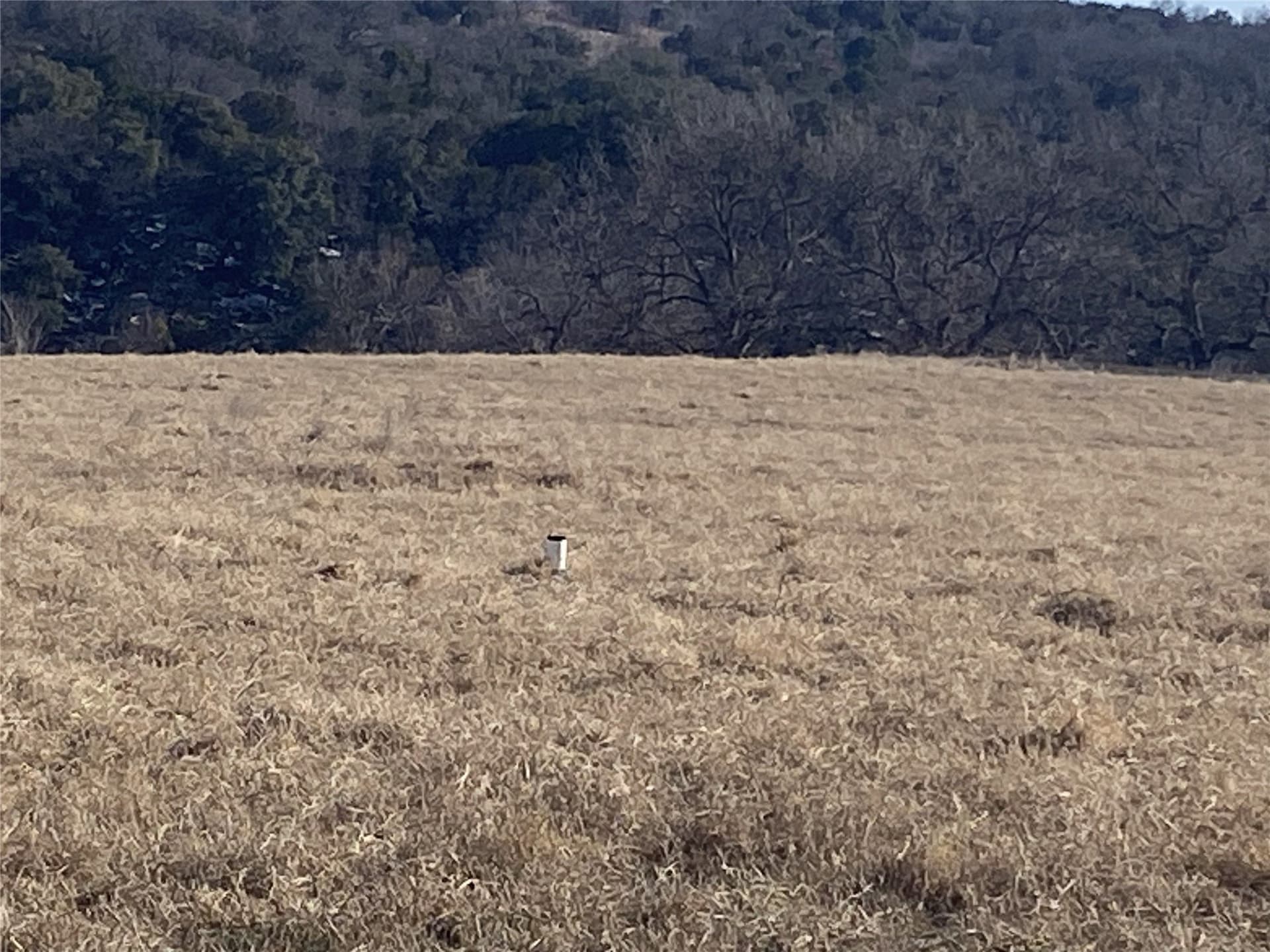 6 acres in Palo Pinto County - photo 9