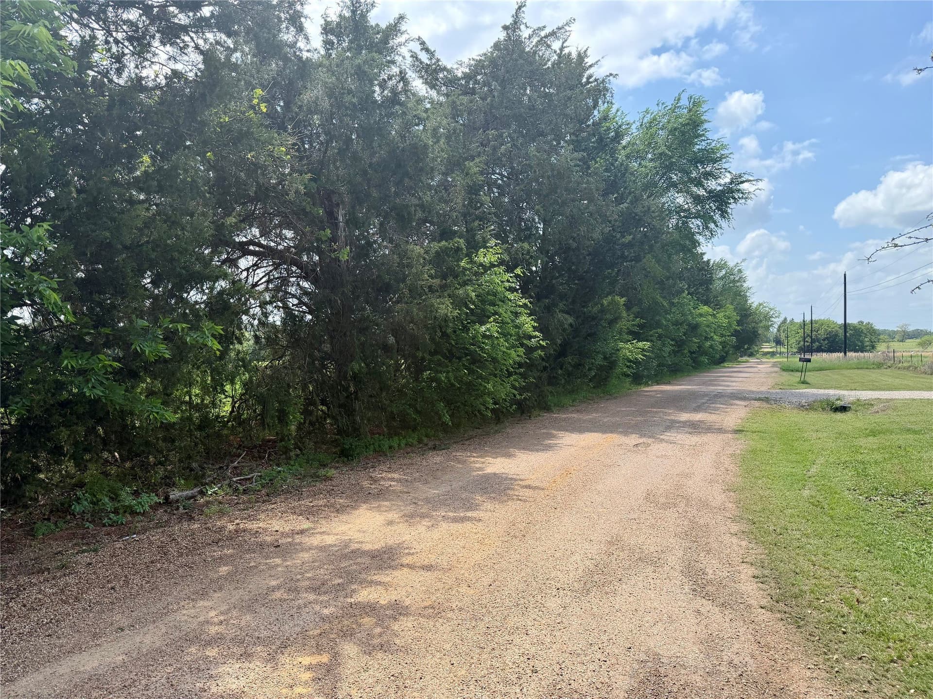11 acres in Henderson County gallery image 4