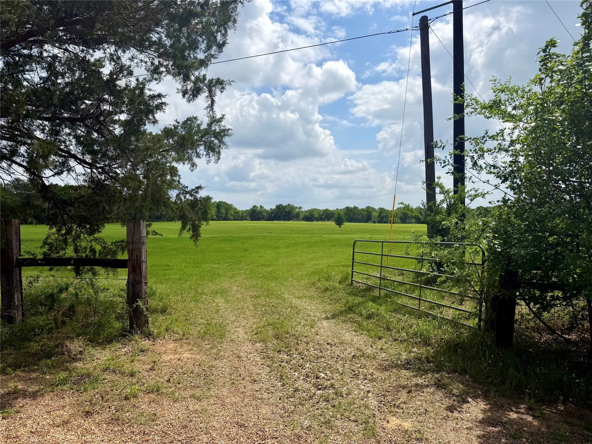 11 acres in Henderson County gallery image 2