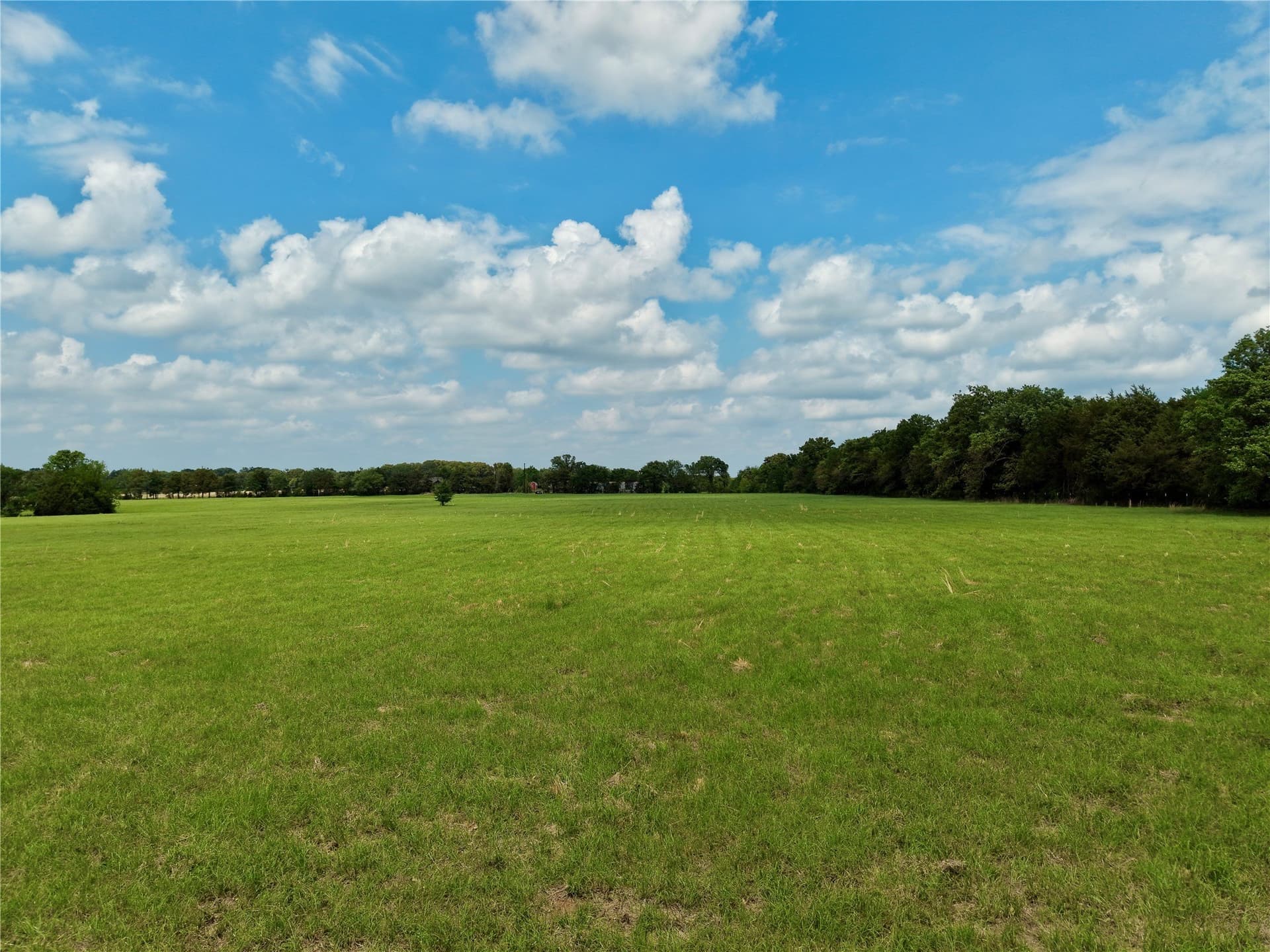 11 acres in Henderson County gallery image 3