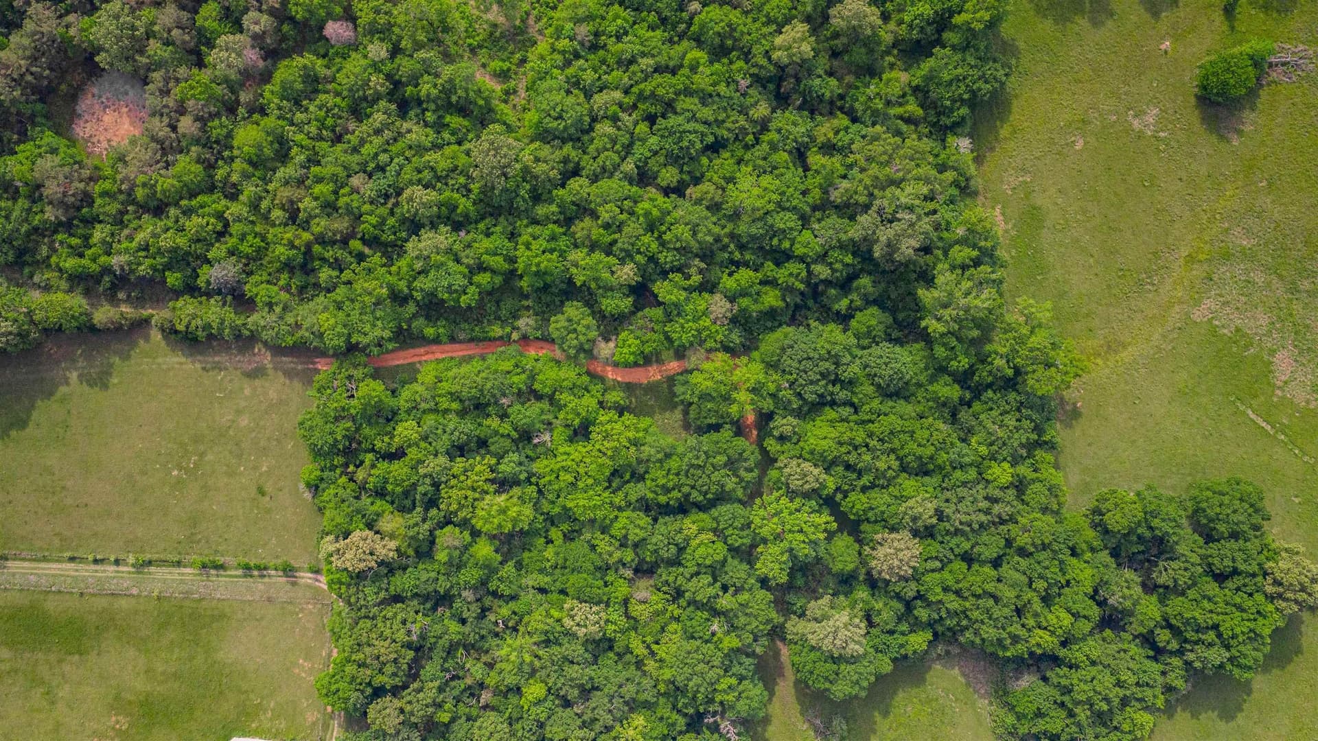 35.83 acres in Texas County - photo 12