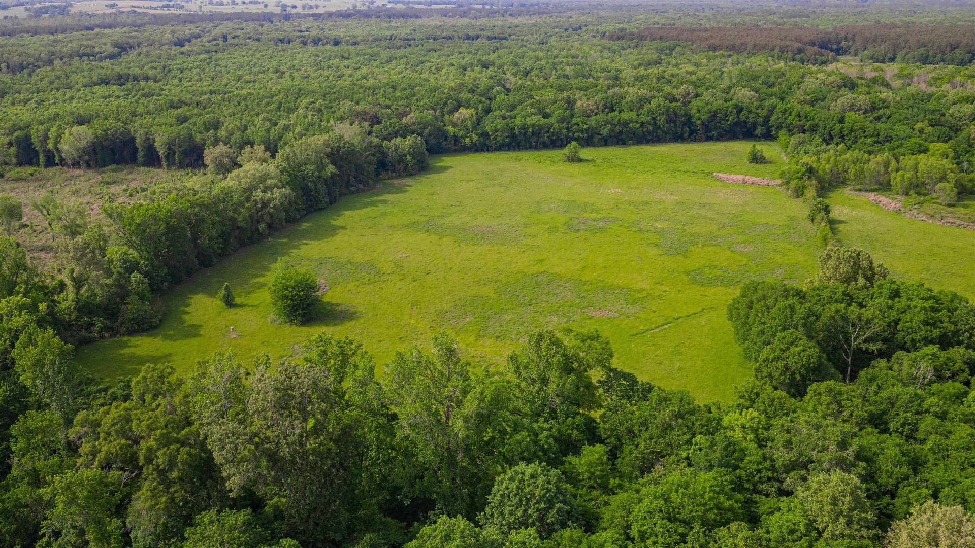 35.83 acres in Texas County - photo 13