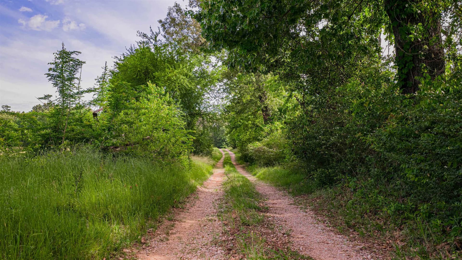 35.83 acres in Texas County - photo 7