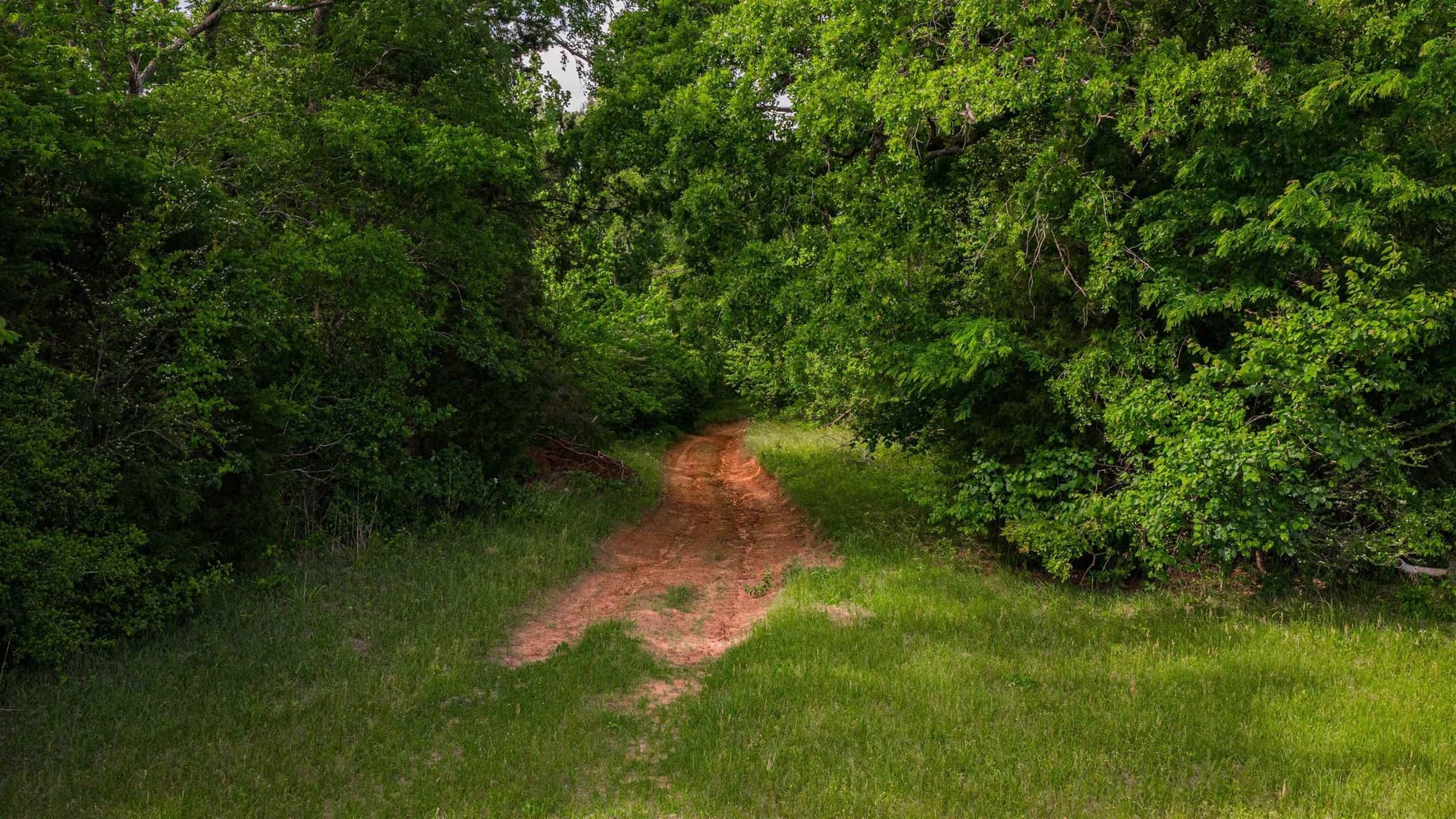 35.83 acres in Texas County - photo 11