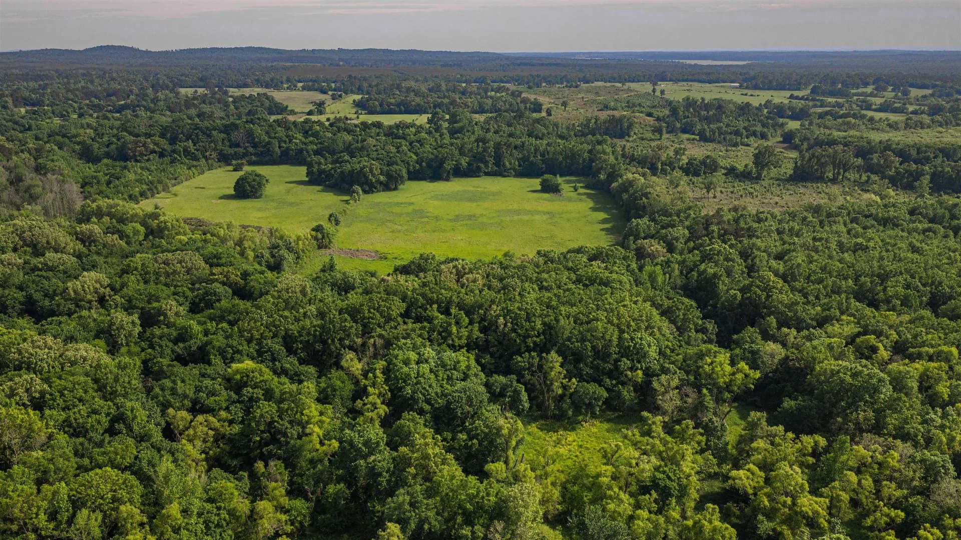 35.83 acres in Texas County - photo 16