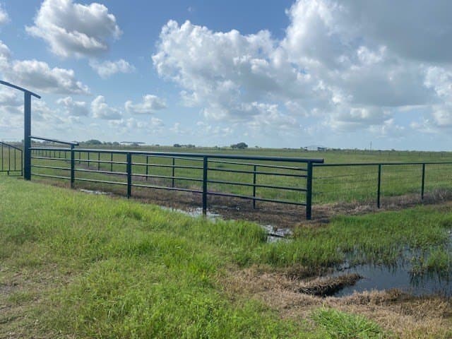 155 acres in Blessing Area County gallery image 2