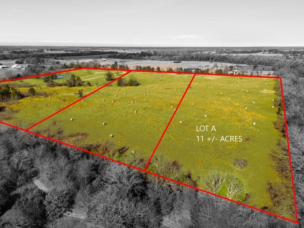 11 acres in Henderson County gallery image 2