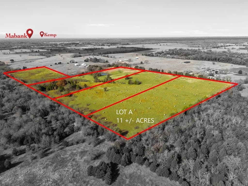 11 acres in Henderson County gallery image 3