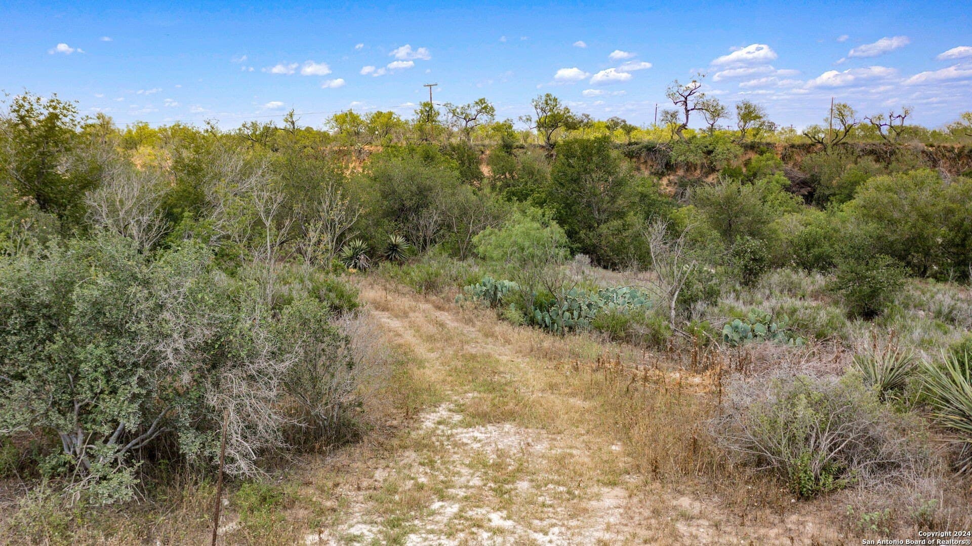 3.27 acres in Medina County gallery image 4