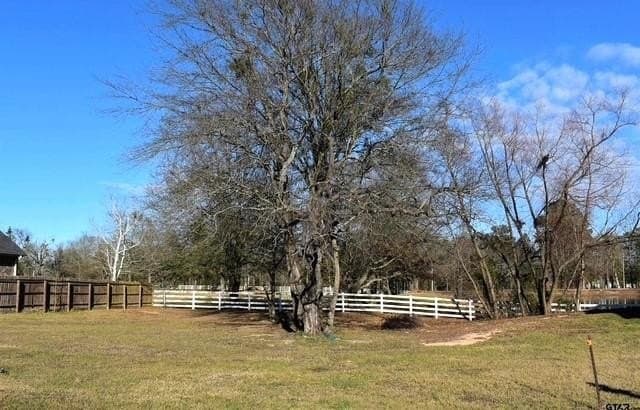 0.24 acres in Titus County gallery image 2