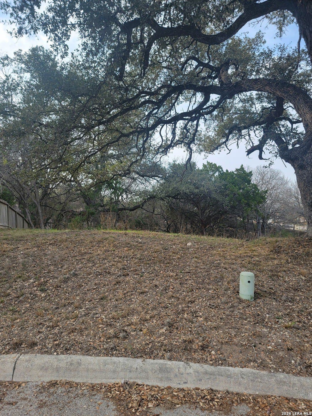 0.44 acres in Bexar County - photo 9