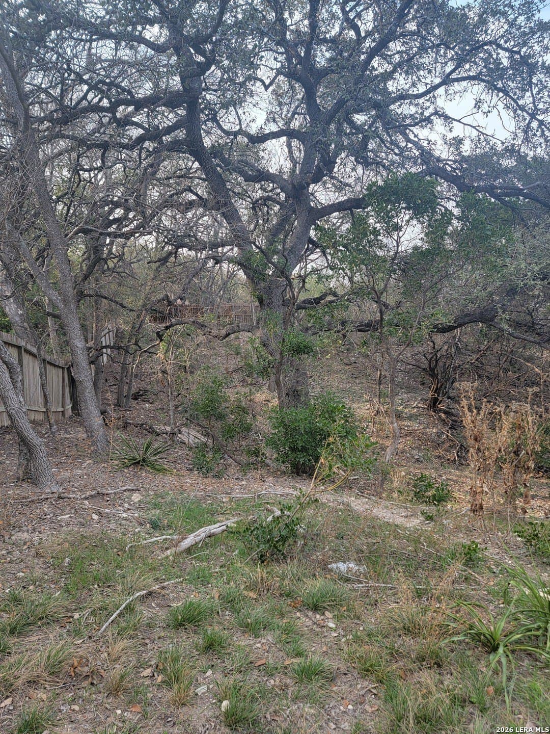 0.44 acres in Bexar County - photo 6