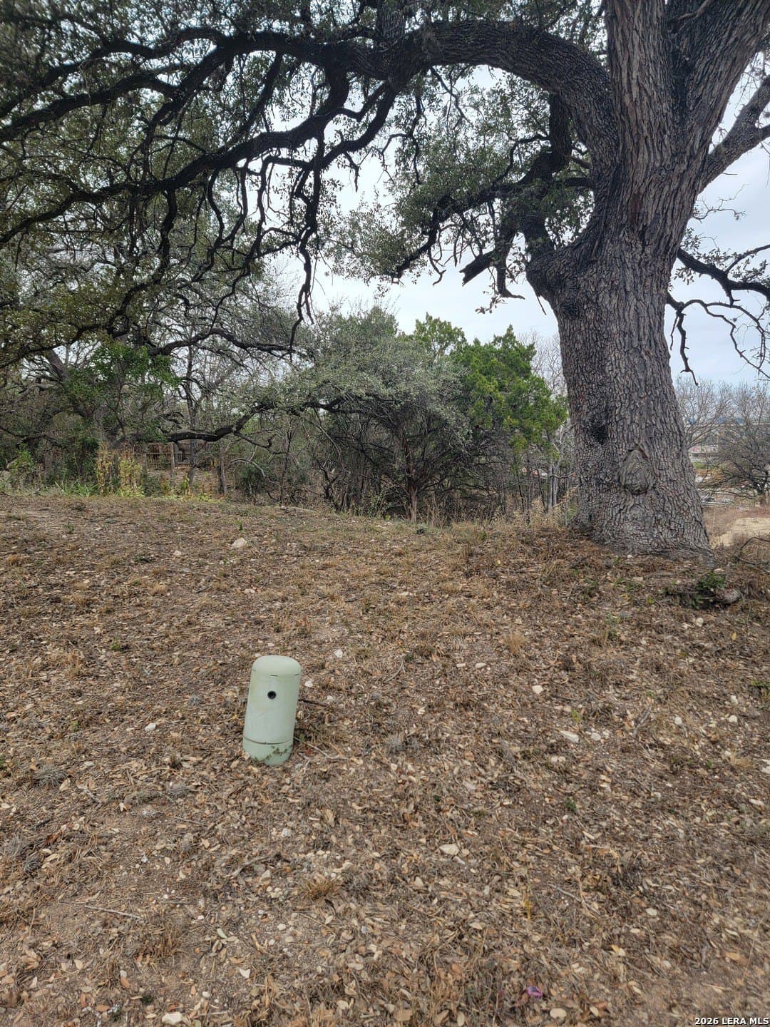 0.44 acres in Bexar County - photo 3