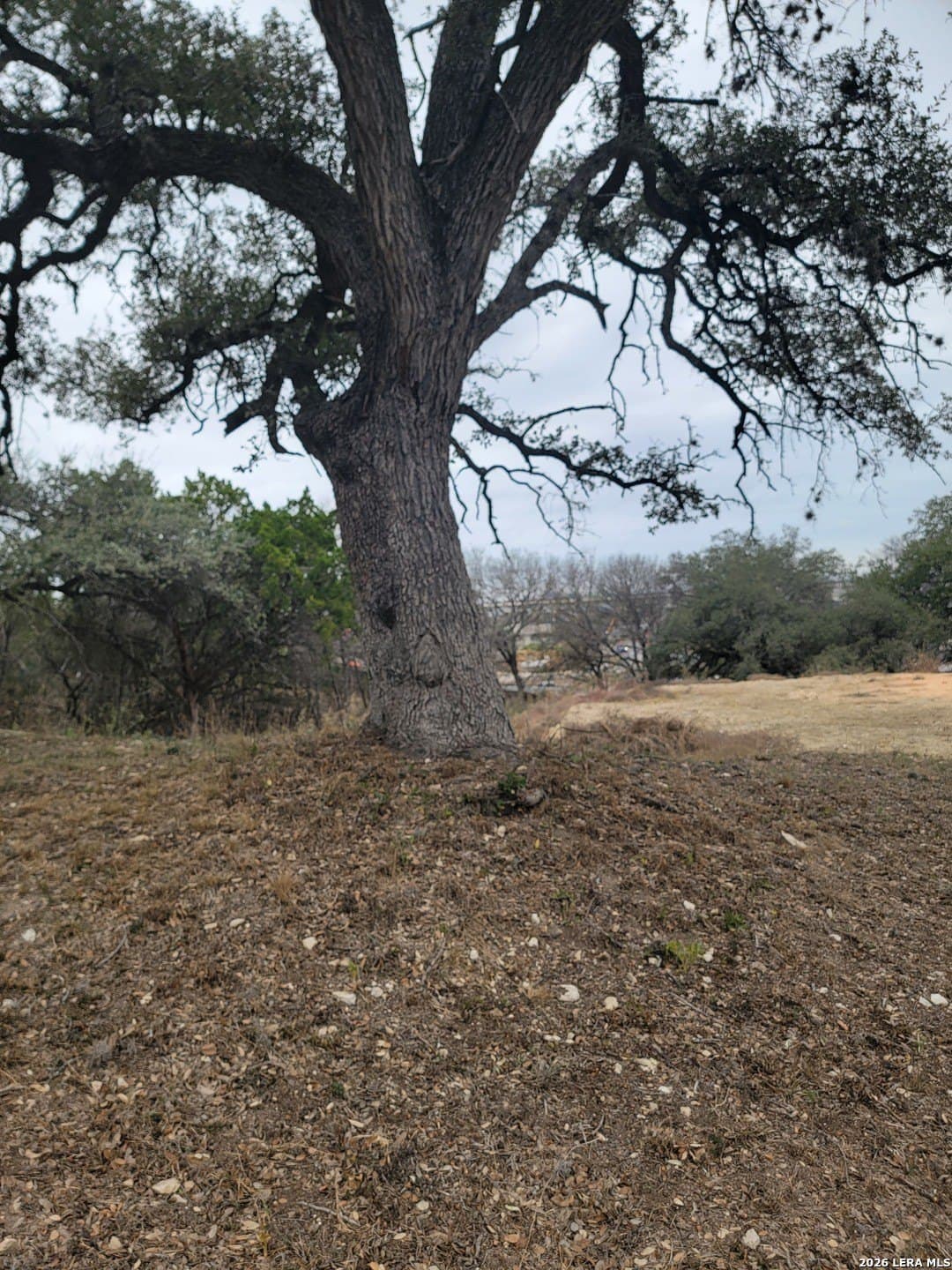 0.44 acres in Bexar County - photo 2