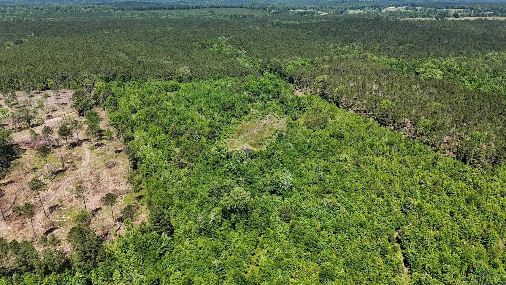 12.72 acres in Marion County featured view