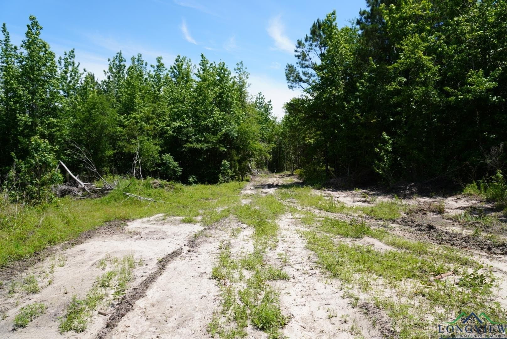 12.72 acres in Marion County gallery image 3