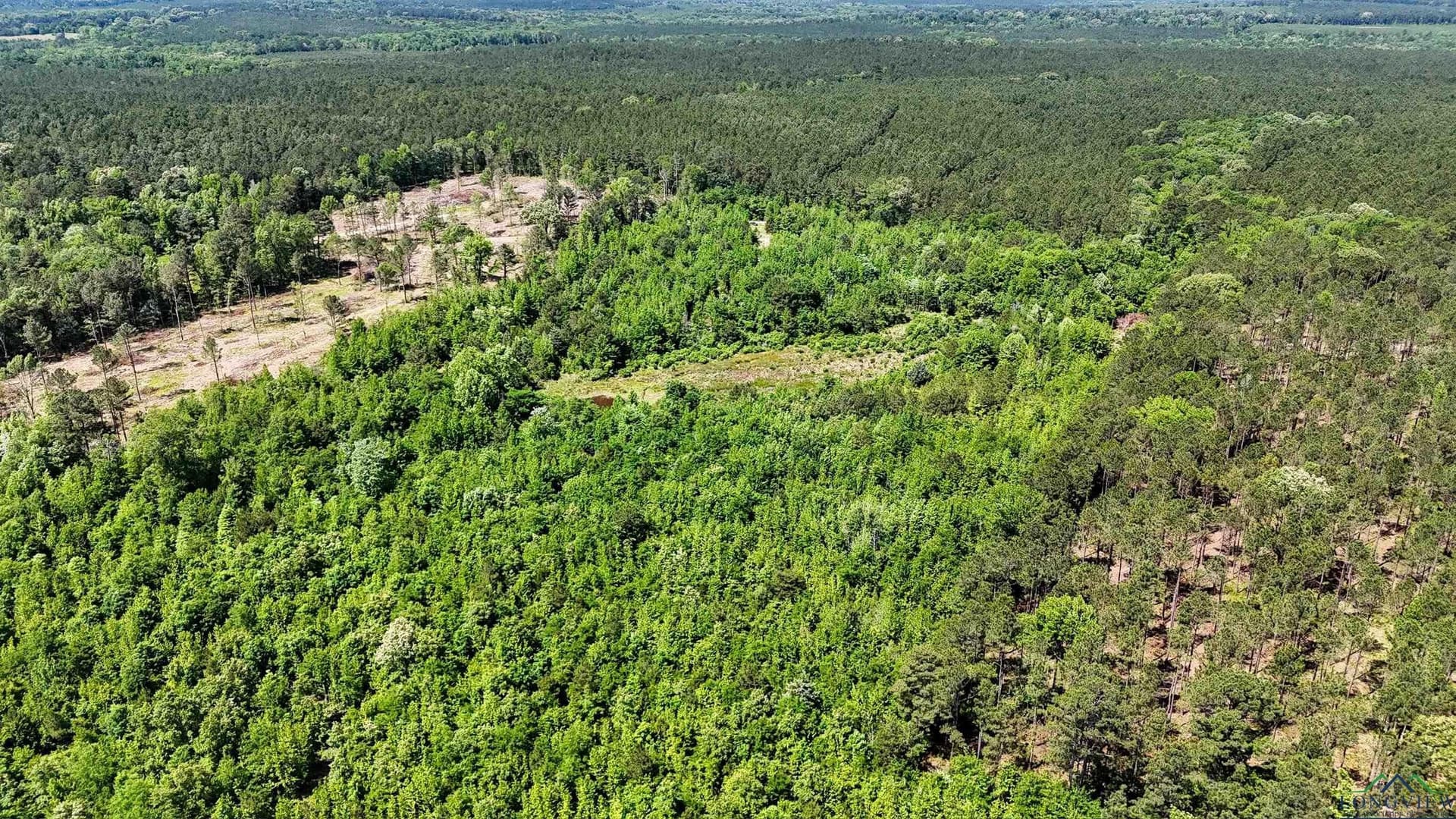 12.72 acres in Marion County