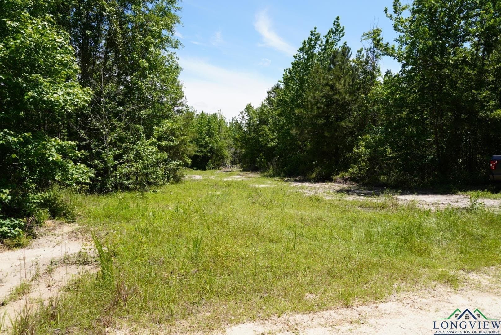 12.72 acres in Marion County gallery image 4