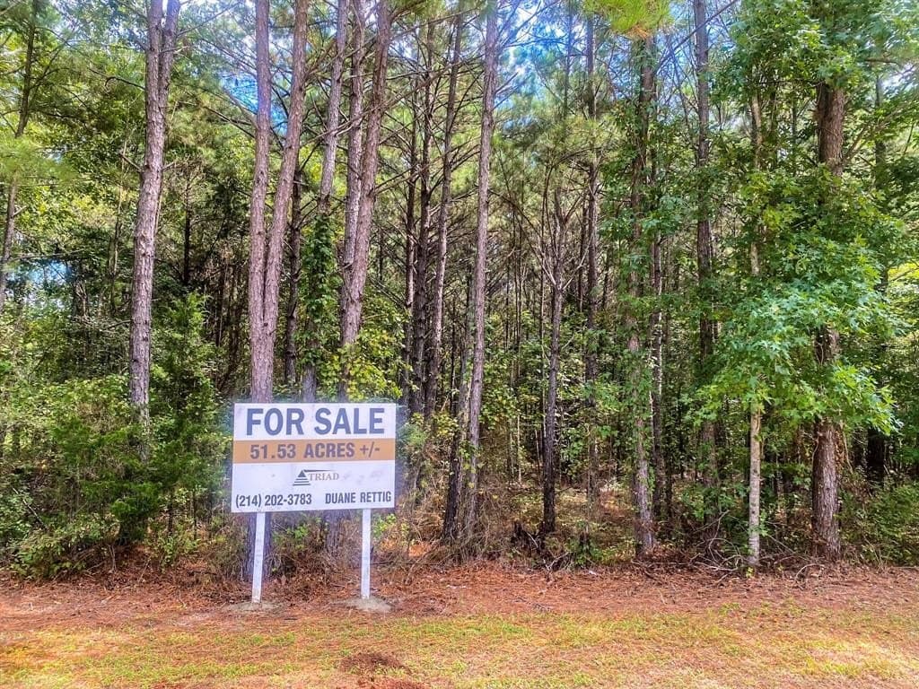 51.54 acres in Rusk County gallery image 2