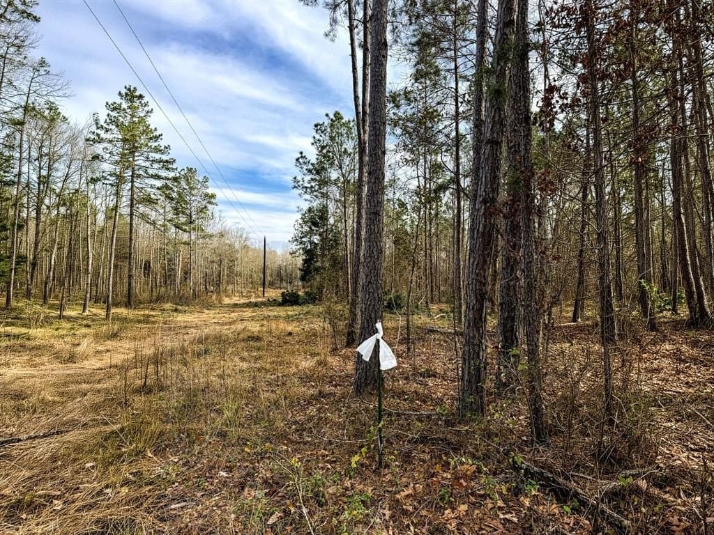 51.54 acres in Rusk County gallery image 3